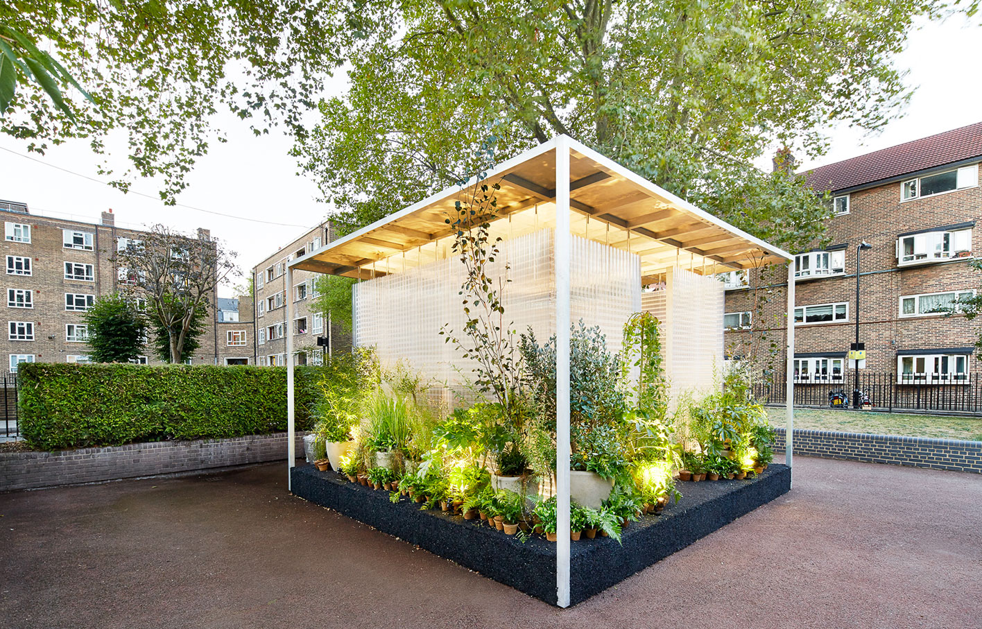 Aldworth James & Bond | “Forests” Installation 'Create' with plants and lighting