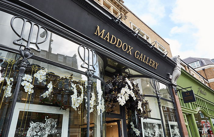 Aldworth James & Bond | Maddox Gallery - Westbourne Grove | Signage detail